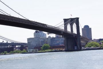 Brooklyn Bridge Project NYSSPCA